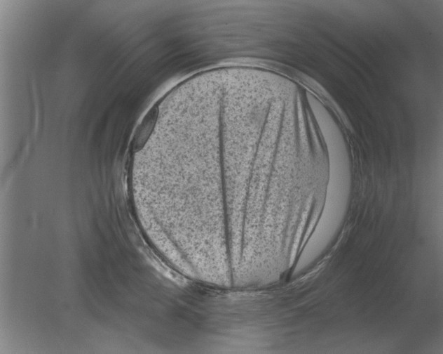 X0000080810908200701122237