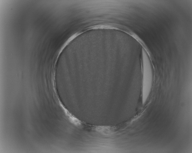 X0000080810909200701122237