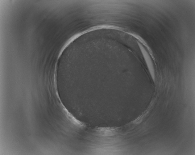 X0000080810910200701122237