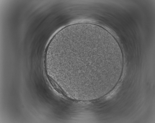 X0000080810912200701122237