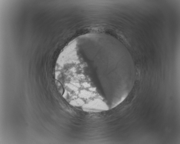 X0000080810913200701122237