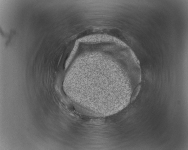 X0000080810914200701122237