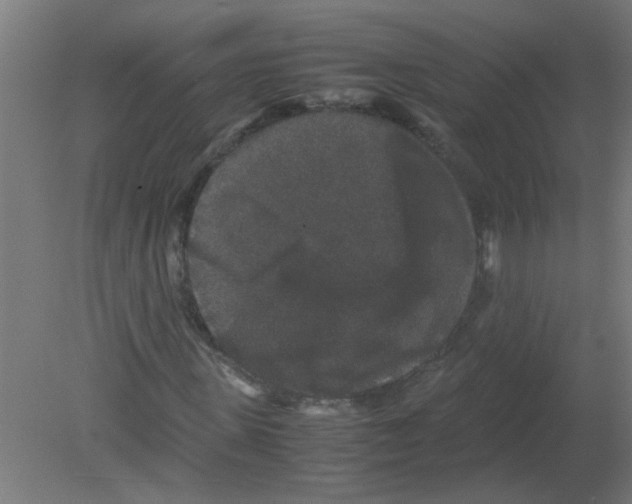 X0000080810915200701122237