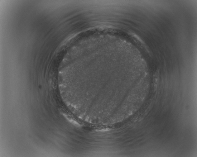 X0000080810919200701122237