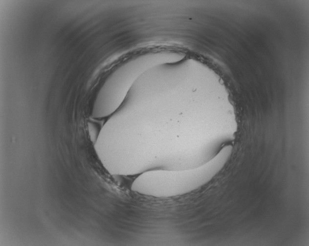 X0000080810920200701122237