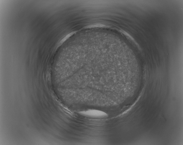 X0000080810921200701122237