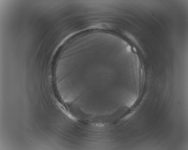 X0000080810923200701122237