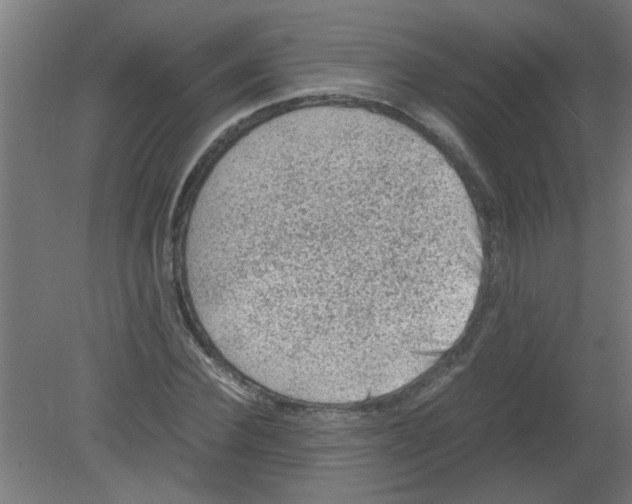 X0000080810924200701122237