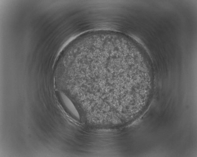 X0000080810925200701122237