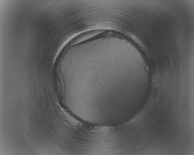 X0000080810926200701122237