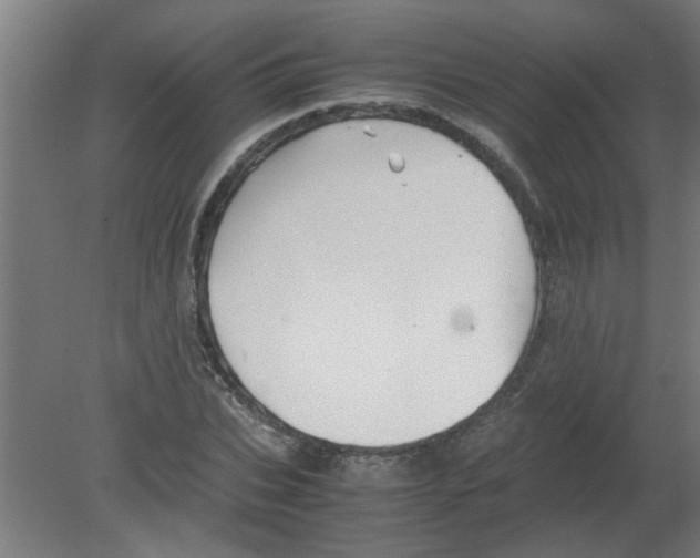 X0000080810927200701122237