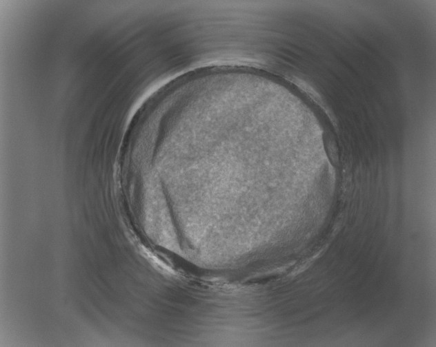 X0000080810928200701122237