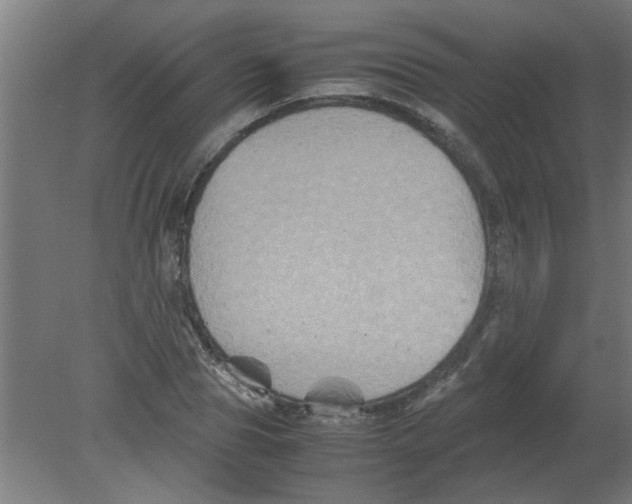 X0000080810929200701122237