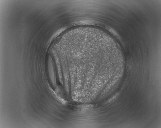 X0000080810930200701122237