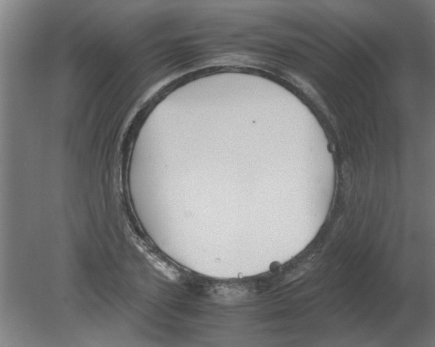 X0000080810931200701122237