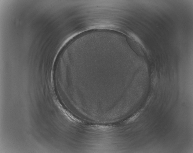 X0000080810932200701122237