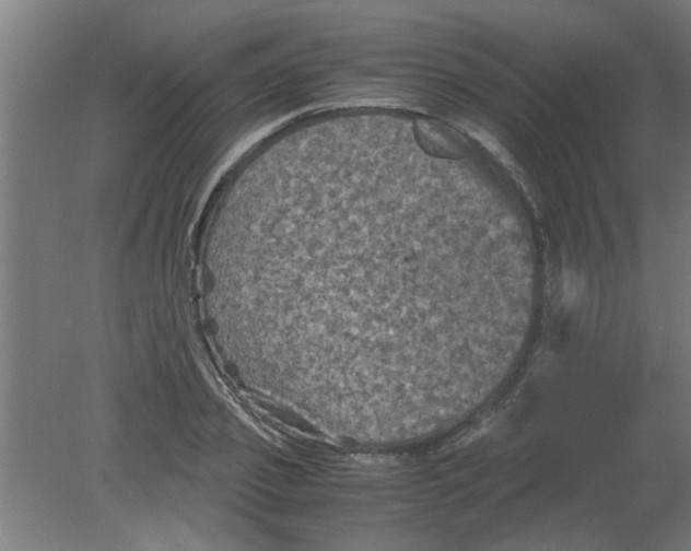 X0000080810933200701122237