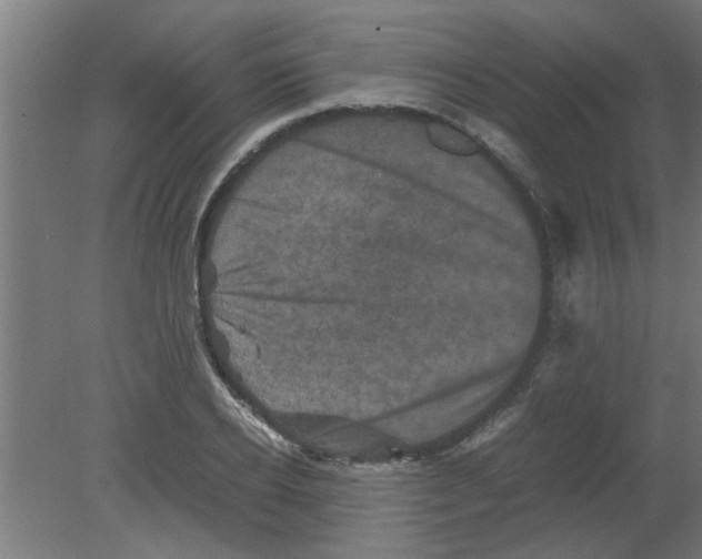 X0000080810934200701122237