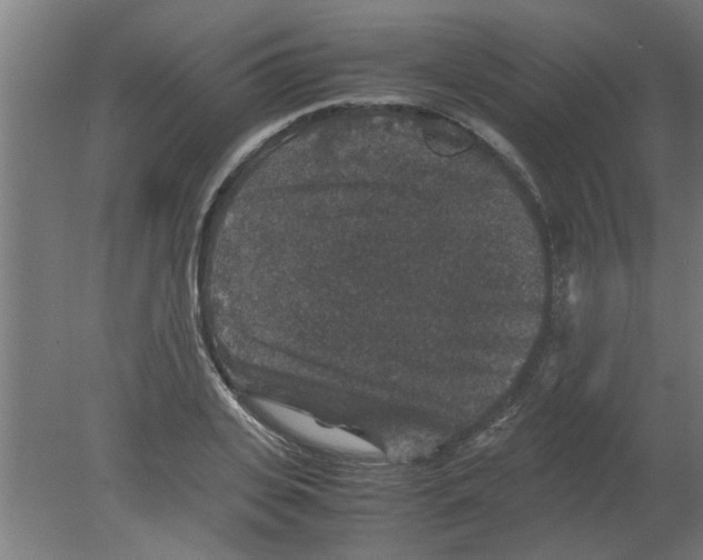 X0000080810935200701122237