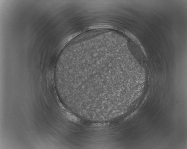 X0000080810937200701122237