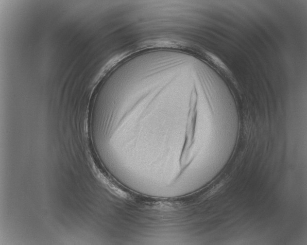 X0000080810938200701122237