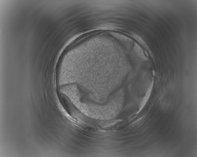 X0000080810939200701122237