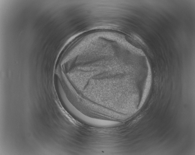 X0000080810940200701122237