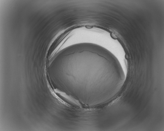 X0000080810941200701122237