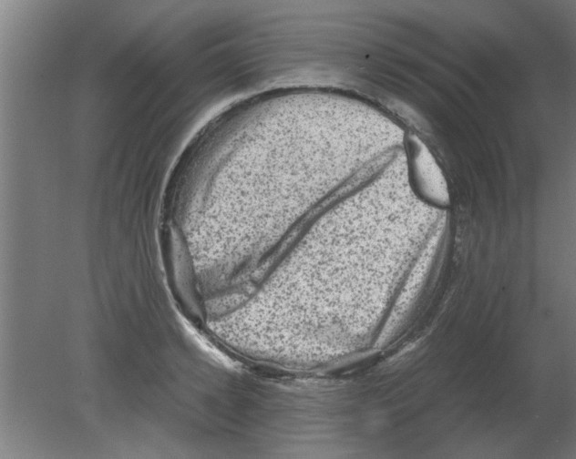 X0000080810942200701122237