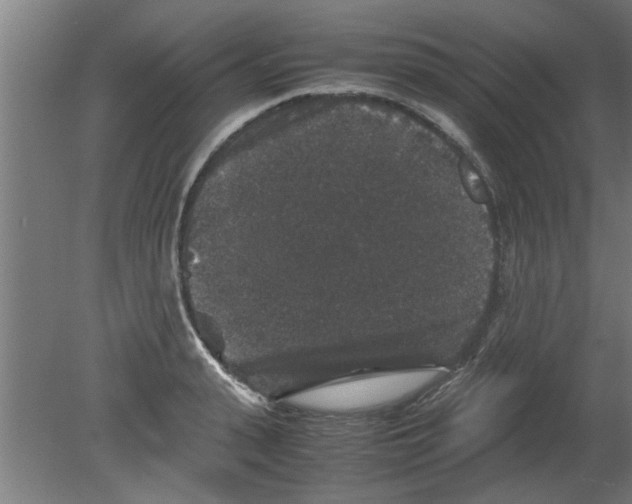 X0000080810943200701122237