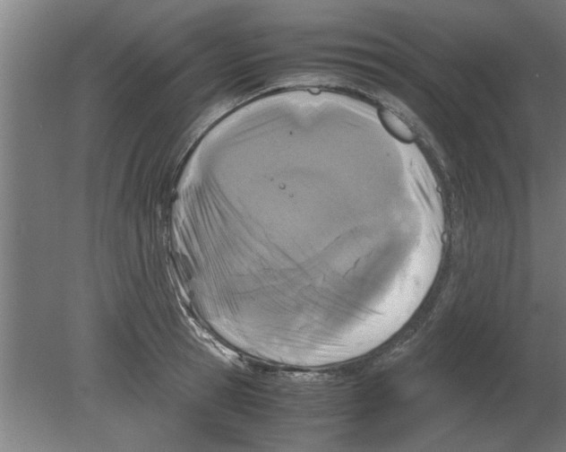 X0000080810945200701122237