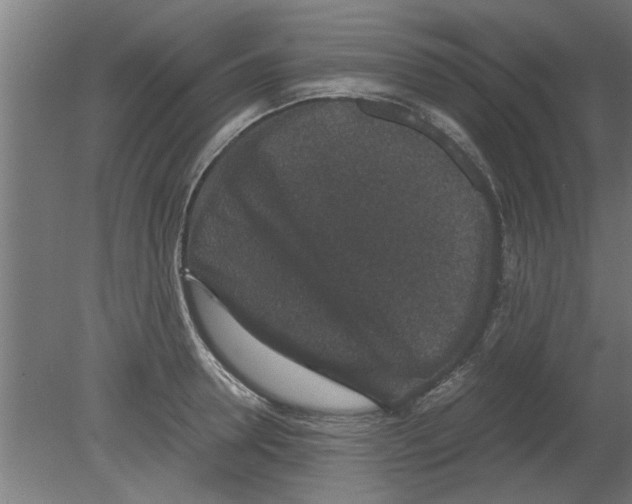 X0000080810946200701122237