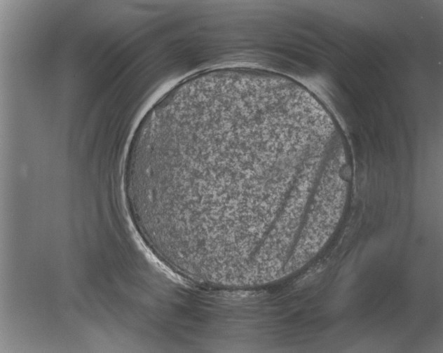 X0000080810949200701122237