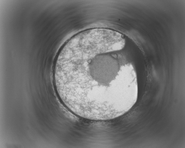 X0000080810950200701122237