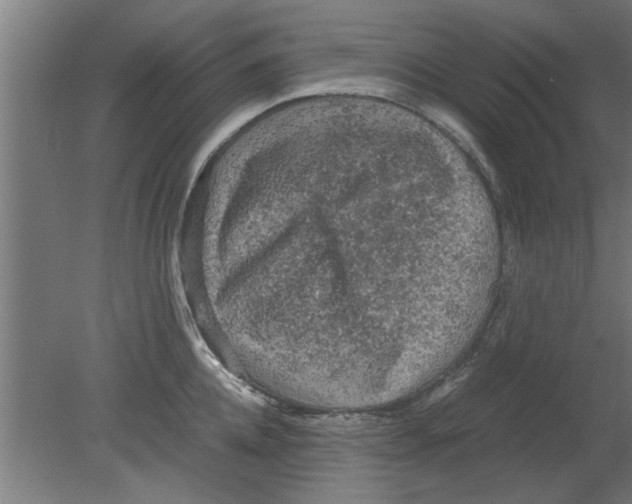 X0000080810952200701122237