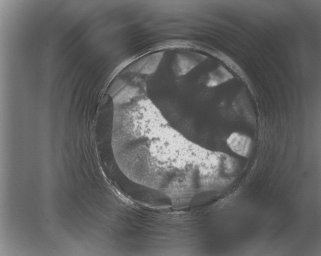 X0000080810953200701122237