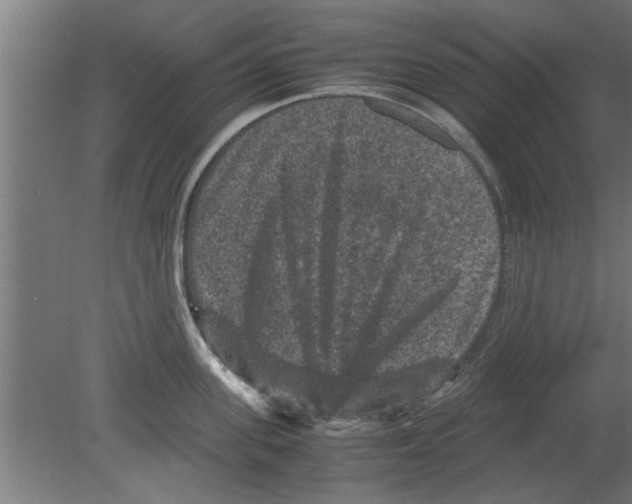 X0000080810955200701122237