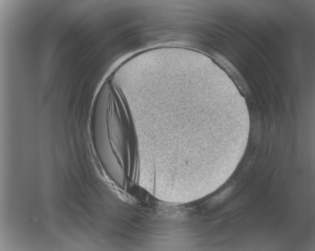 X0000080810956200701122237