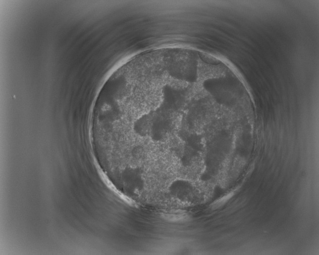 X0000080810957200701122237