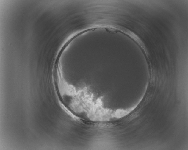 X0000080810958200701122237