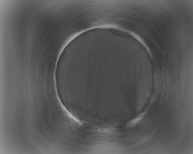 X0000080810959200701122237