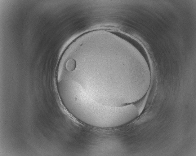 X0000080810960200701122237