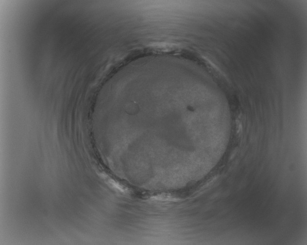 X0000080810961200701122236