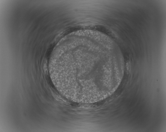 X0000080810963200701122236