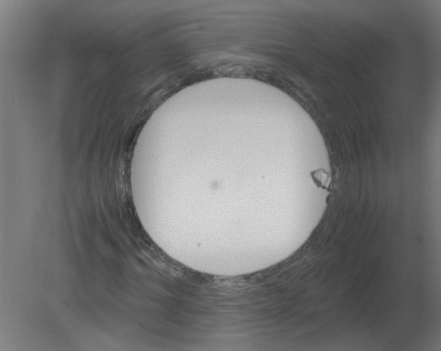 X0000080810964200701122236