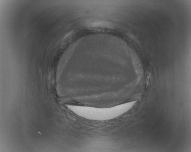 X0000080810965200701122236