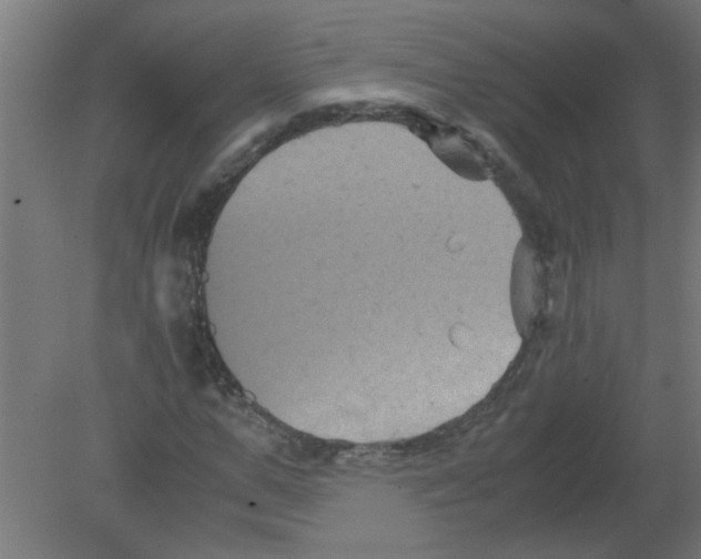 X0000080810967200701122236