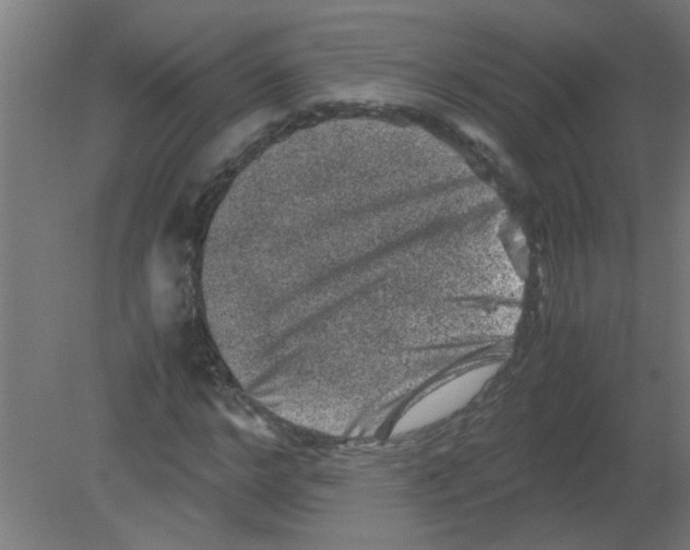 X0000080810968200701122236