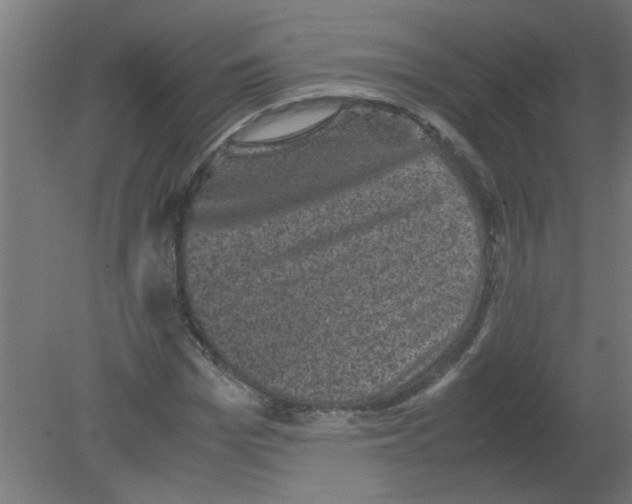 X0000080810969200701122236