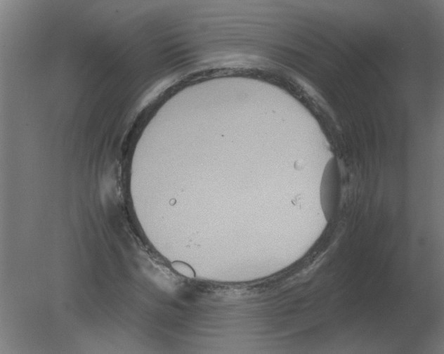 X0000080810970200701122236